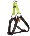 Dingo Energy Silver koerarakmed, 1,6/50cm, rohelised