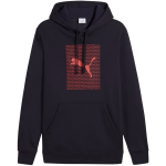 Puma Ess Logo Lab Hoodie FL meeste kapuutsiga pusa, tumesinine 684669 16, S