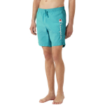 Champion Beachshort meeste ujumisp&uuml;ksid, mintrohelised 219978 BS184