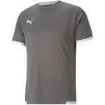 Puma teamLIGA meeste s&auml;rk, hall 704917 13