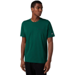 Meeste T-s&auml;rk Champion SS Tee roheline 221798 GS584, S