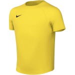 Nike Dri-Fit Park VIII laste s&auml;rk, kollane HV8182 719