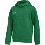 Nike Park 26 Fleece Hoodie laste kapuutsiga pusa, roheline IB1226 302