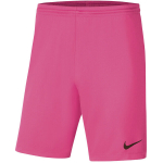 Nike Dry Park III NB K meeste l&uuml;hikesed p&uuml;ksid fuksia BV6855 616, XL