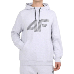 Meeste dressipluus 4F M2548 jahe helehall melange 4FWMM00TSWSM2548 27M