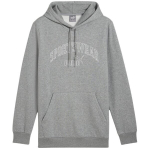 Puma Ess+ Logo LAB Gradient Hoodie FL meeste kapuutsiga pusa, hall 681775 03