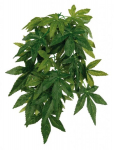 Terrariumi dekoratsioon : TRIXIE Siidist ripptaim, Abutilon, 20*30 cm
