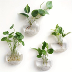 2tk/ 4tk/ 6tk Seinale Riputatavad Klaasi Terrariumid Hydroponics Lilled Dekoratsioon.