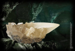 Harry Potteri "urn koopast" 1:1 koopia