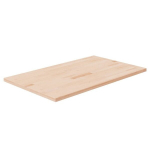 vidaXL vannitoa t&ouml;&ouml;tasapind, 60 x 40 x 2,5 cm, t&ouml;&ouml;tlemata t&auml;ispuit