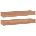 vidaXL seinariiulid, 2 tk, 60x15x6 cm, tiikpuu