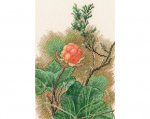 Ristpistes tikkimiskomplekt, RTO, 12x17,5 cm, M961