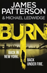 Burn: (Michael Bennett 7). Unbelievable reports of a murderous cult become terrifyingly real