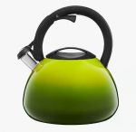 Ambition veekeetja koos vilega Ombre, 3 l