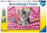 pusle ravensburgeri 100 tk armas kassipoeg