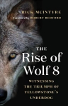Rise of Wolf 8: Witnessing the Triumph of Yellowstone's Underdog