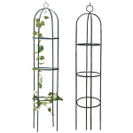 Aia pergola lilledele, "P&auml;rsia kollane"