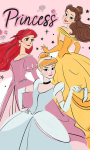 K&auml;ter&auml;tik Disney Princess Elegant 30x50cm