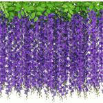 40 Oksa Wisteria Rippuvad Lilled JACKYLED 182.88 Cm Tehis Valge Wisteria Viin Siid Wisteria Lilled Girland Pulma Kaarele Pidu Aed Kodu Dekoratsioon., Vynuogių violetinė