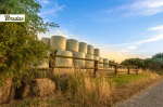 Silo m&auml;hisfoolium Bradas SILAGE WRAP FOIL, 0,25x1800m, roheline