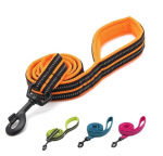 Koerte treeningrihm, 120 cm