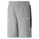 PUMA vabaaja l&uuml;hikesed p&uuml;ksid meestele, BMW MMS Sweat Shorts 8.6 53813403, hall