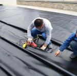 Vastupidav tiigikate 0,12 mm 5&times;7 m