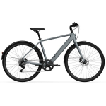 Elektrijalgratas TENWAYS CGO600 Plus (2025) 28" Light Grey, L (54 cm)