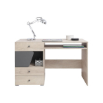 Kirjutuslaud DELTA DL 9, tamme v&auml;rvi/hall