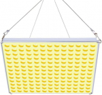 Roleadro LED R-75 taimelamp