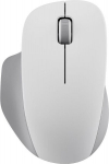 XIAOMI Wireless Mouse Comfort Edition (White)