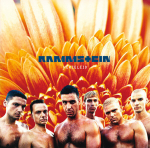 Rammstein - Herzeleid (vin&uuml;&uuml;lplaat, LP)
