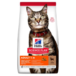 Hill's Science Plan Adult kassitoit lambaga, 10 kg