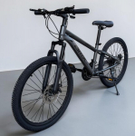Laste jalgratas JINT 24"