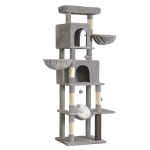 Kassipuu 59x48x190,7 cm Hall puit