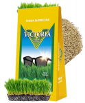 P&auml;ikeselise ja kuiva ala murusegu 4 kg kuni 160 m&sup2;