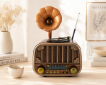 Kaasaskantav raadiovastuv&otilde;tja HomeD | FM/AM/SW | Bluetooth