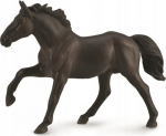Stallion Nonius - Collecta