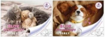 Joonistusplokk A4/20K valge The Sweet Pets - Benjamin