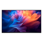 Kahjustatud pakendiga toode. Dell Pro Plus P2725H without stand 27" FHD IPS 100Hz 300cd/m2
