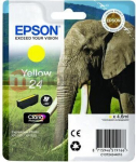 Epson C13T24244010