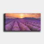 Reproduktsioon Lavendli p&otilde;ld