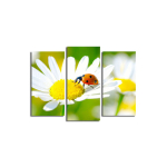 Kolmeosaline reproduktsioon Lepatriinu karikakra&otilde;iel