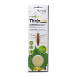 Thripnok ripstiivaliste peibutis, 1 tk