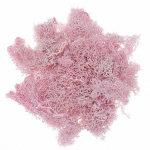 K&auml;sit&ouml;&ouml; sammal, roosa, 30g