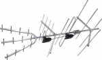 LechPol ANT0008