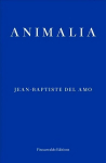 Animalia