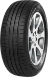 Minerva F209 195/65R15 91 H