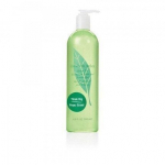 Du&scaron;igeel Elizabeth Arden Green Tea naistele, 500 ml