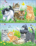 Pusle kassipojad, 10 detaili